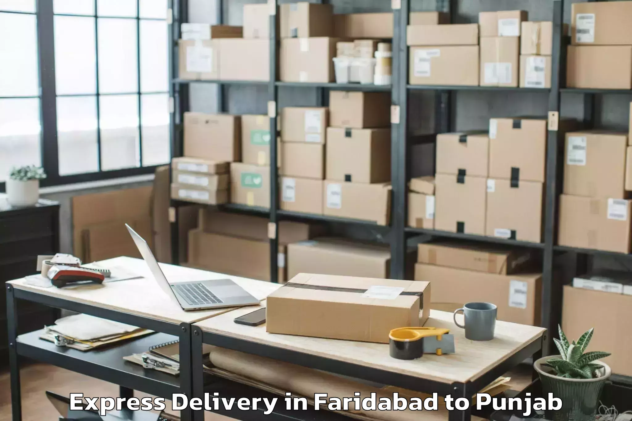 Book Faridabad to Malerkotla Express Delivery Online